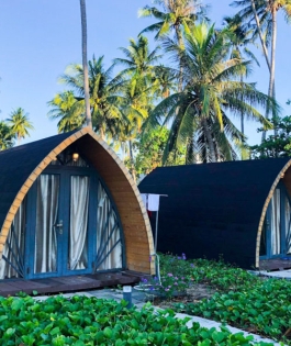 Mẫu nhà homestay 5